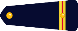 Brandmeester